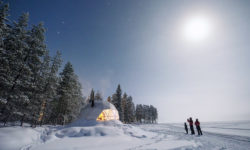 Harriniva_Glamping_Domes5